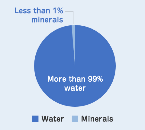 ミネラル1%以下 水99%以上